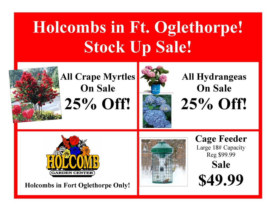 Fort Oglethorpe Fall Sale